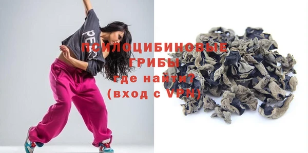 дживик Балахна