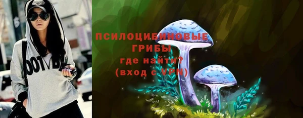 дживик Балахна