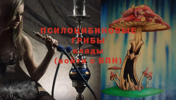 дживик Балахна